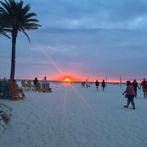 Meet your Posher, Linnea